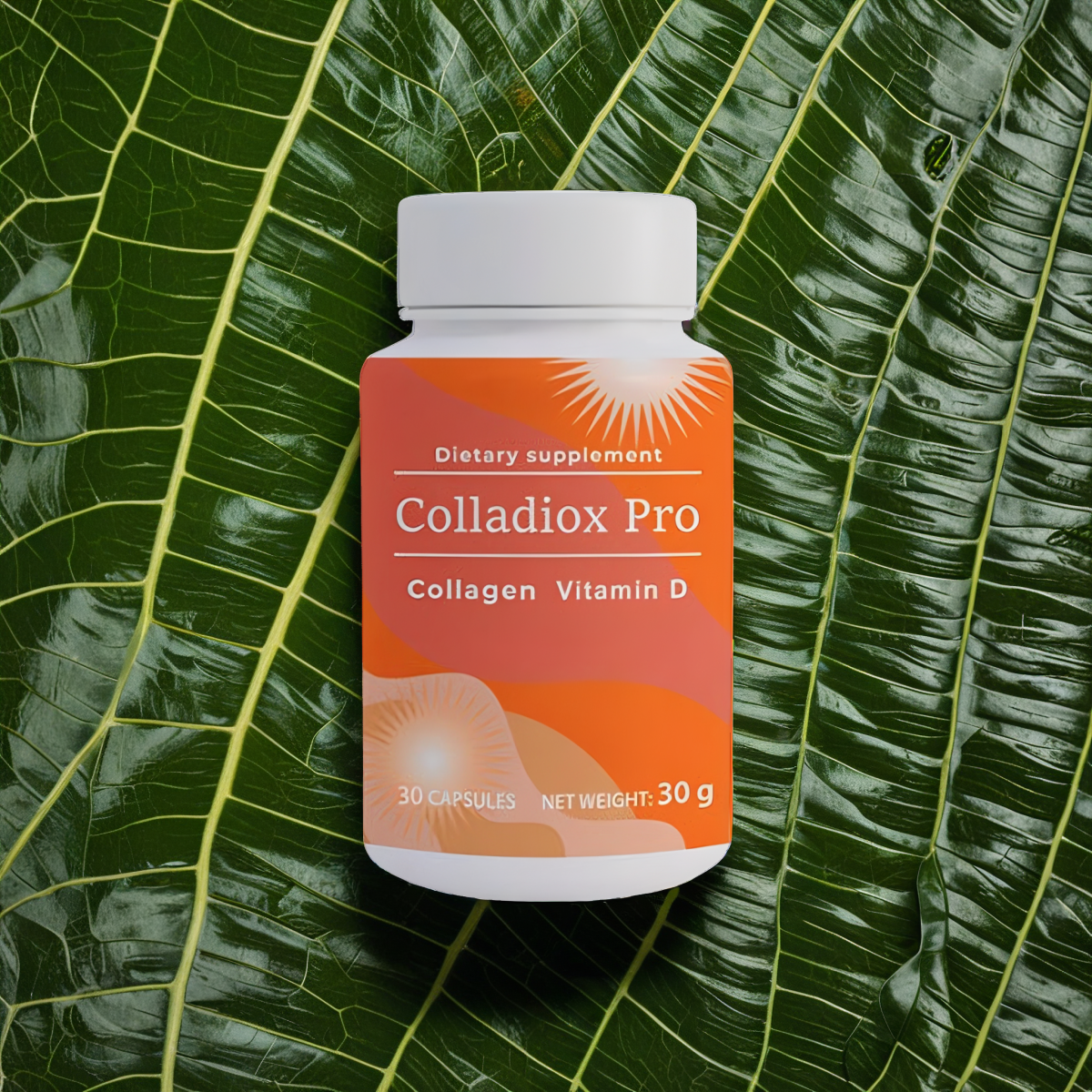 Colladiox Pro