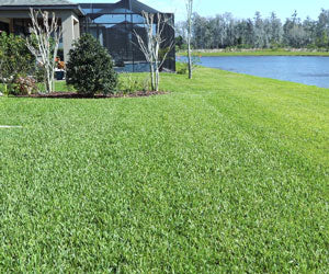 Grass Seed Mat a 69,99€