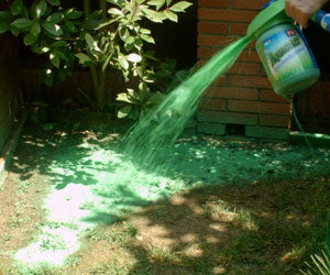 Aquagrazz a 214 PLN