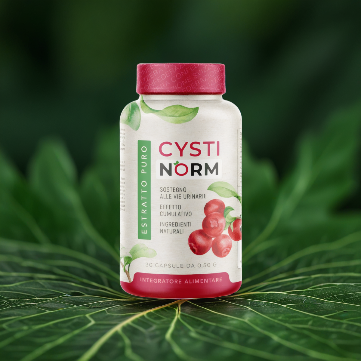 CYSTINORM