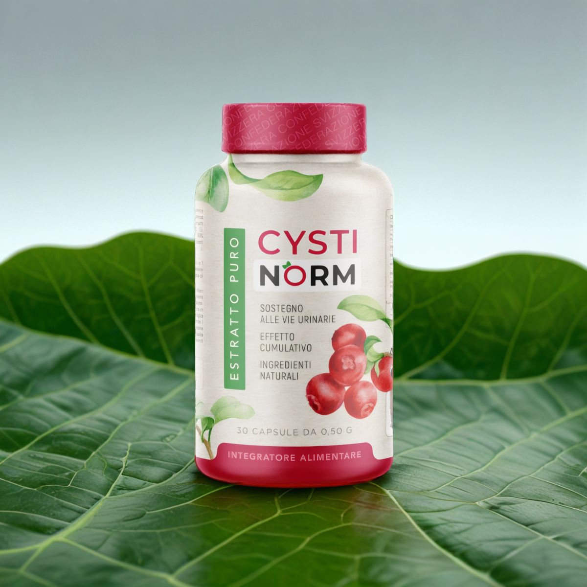 Cystinorm