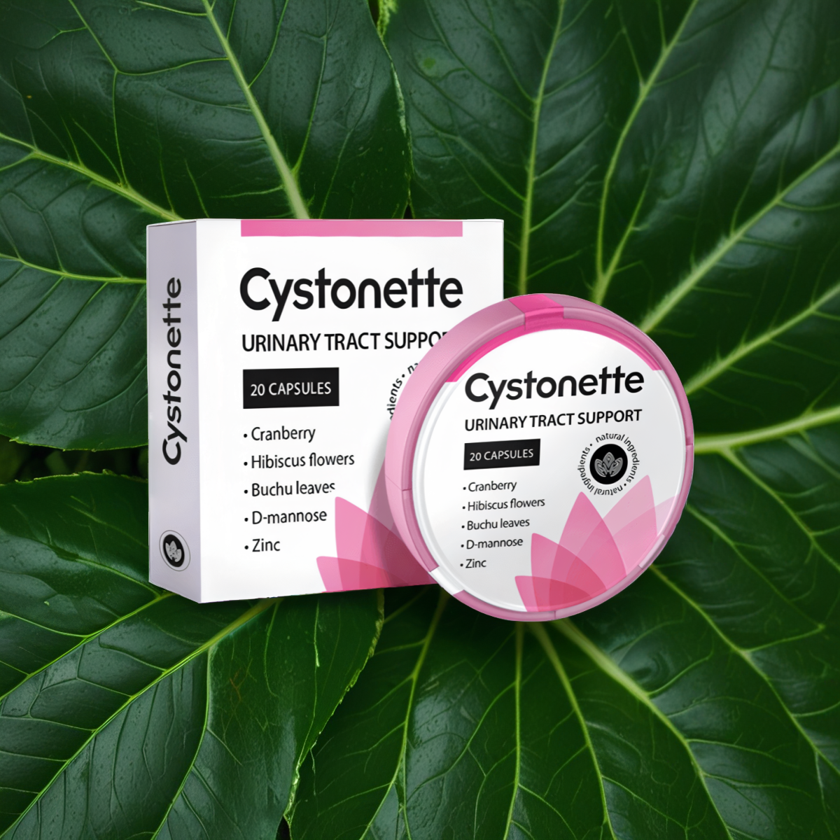 Cystonette