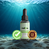 HairVigor 24 - 1 bottle