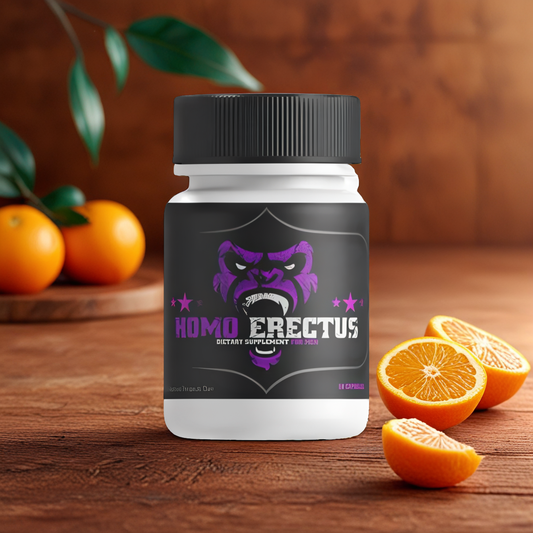 HOMO ERECTUS