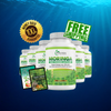 Moringa Magic - (6 bottles) Special Limited Time Discount