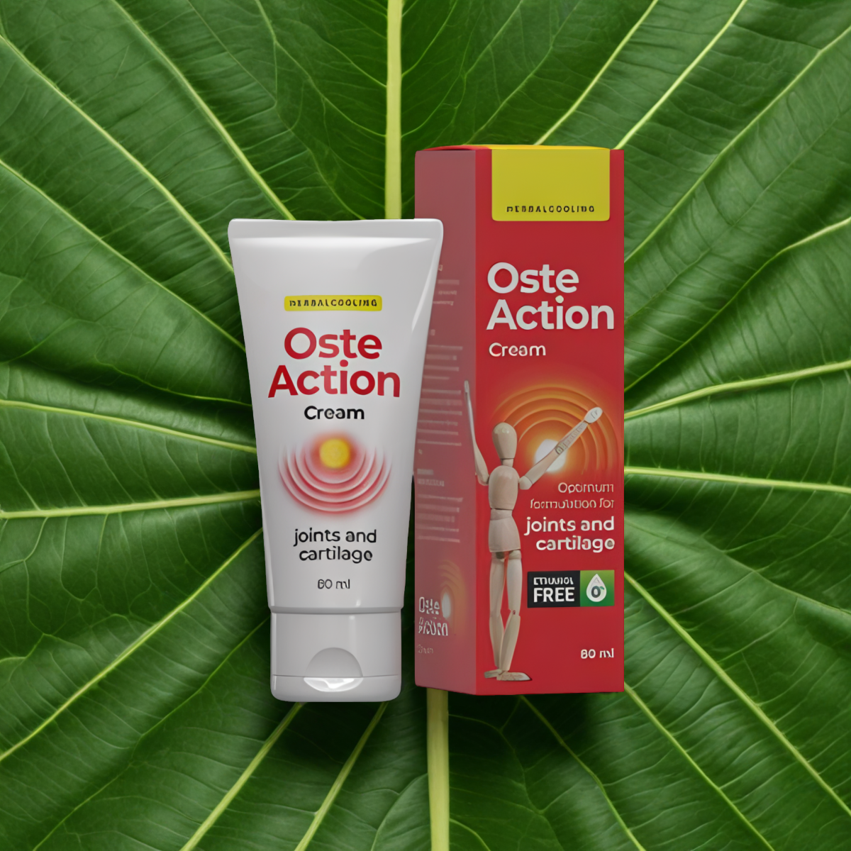 OSTEACTION