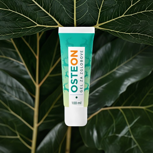 OSTEON