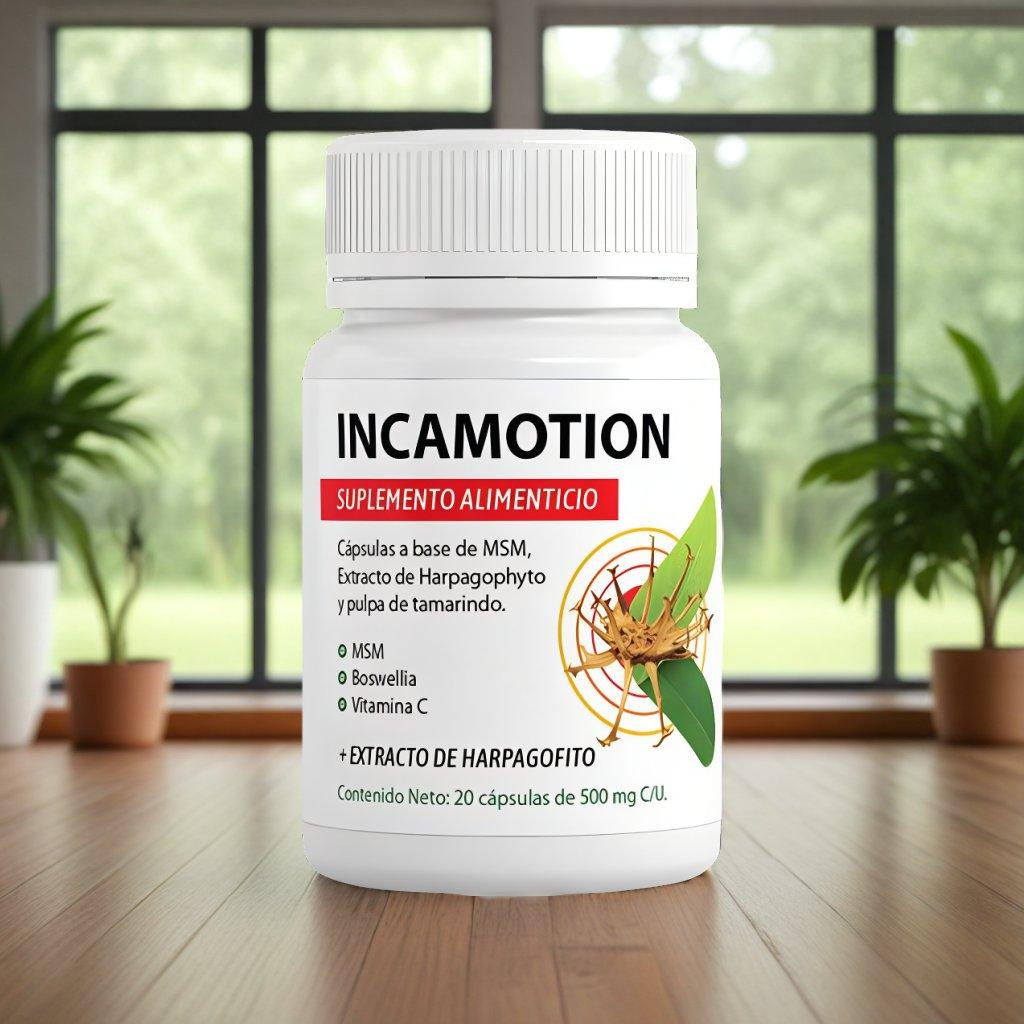 IncaMotion