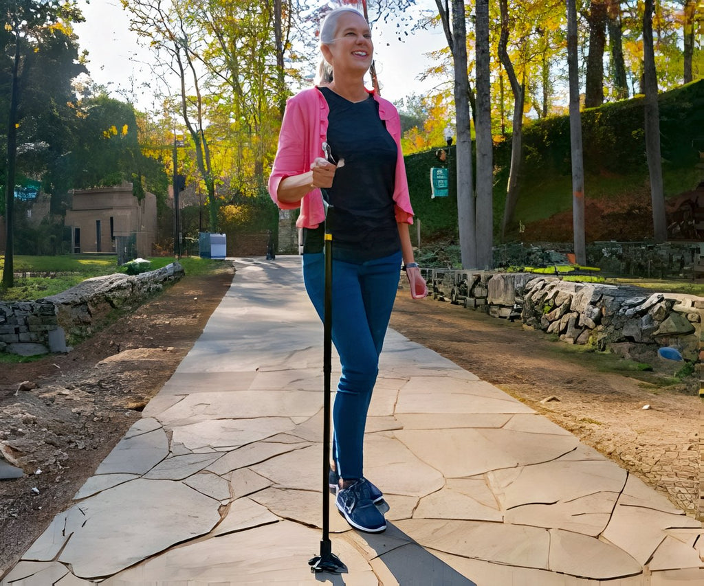 Wellpro Walking Stick a 49,99€