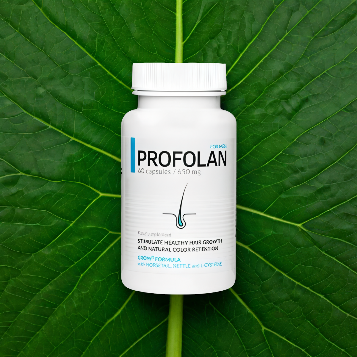 Profolan