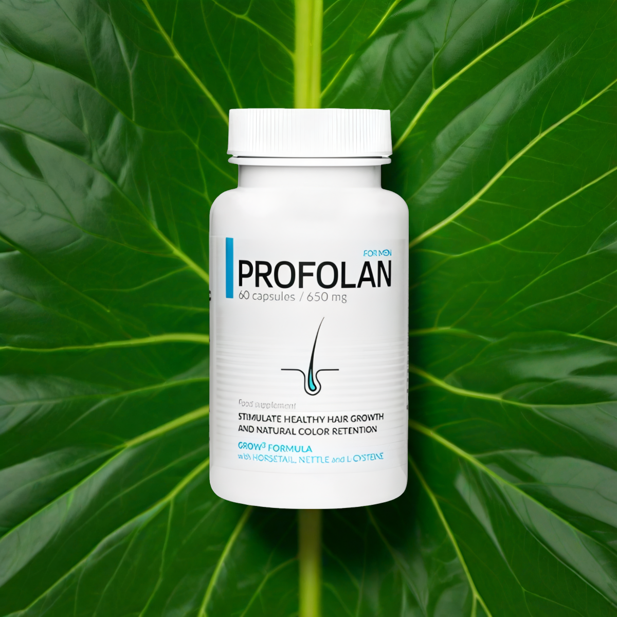 Profolan