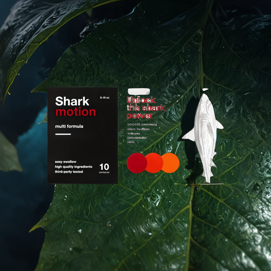 Shark Motion