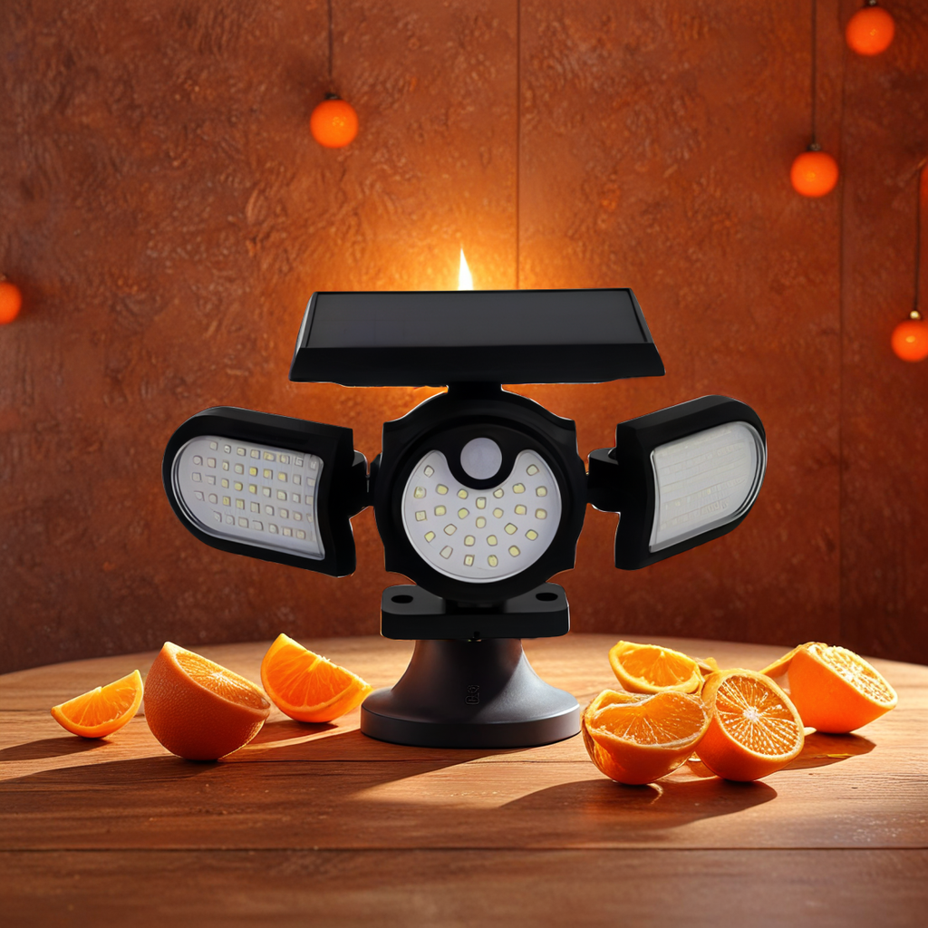 SOLAR INDUCTION LAMP