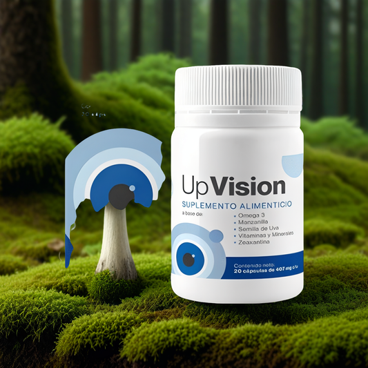 Up Vision